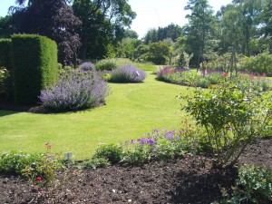 Real leisure: walking around the Cambridge Botanic Gardens